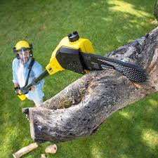 Reliable Lake City, GA  Tree Services Solutions